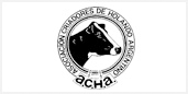 HOLANDO ARGENTINO