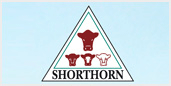 SHORTHORN