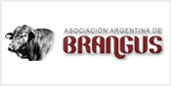 BRANGUS