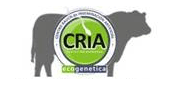 CRÍA ECOGENETICA