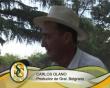 Ver video