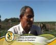 Ver video