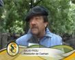 Ver video